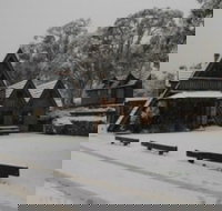 Habitat Chalet - Coogee Beach Accommodation