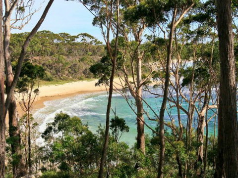 Allawah Cabins - Coogee Beach Accommodation 2