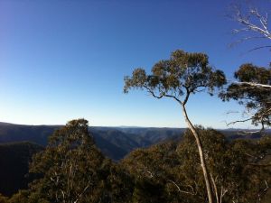 Cheyenne Wilderness Farmstay - Coogee Beach Accommodation 5