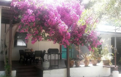 Pass And Pause Holiday Bed And Breakfast Accommodation - Coogee Beach Accommodation 3
