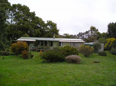 Bush Haven Cottages - Coogee Beach Accommodation 3