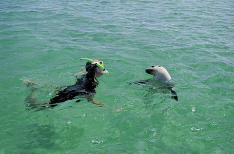 Coodlie Park - Port Kenny - Venus Bay - Coogee Beach Accommodation 3