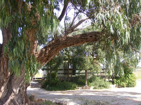 Coodlie Park - Port Kenny - Venus Bay - Coogee Beach Accommodation 4