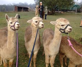 Bunyip Springs Farmstay - Coogee Beach Accommodation 0