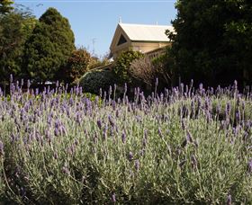Vacy Hall Toowoomba's Grand Boutique Hotel Since 1873 - Coogee Beach Accommodation 2