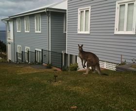 Hyams Beach Bed And Breakfast - Coogee Beach Accommodation 6