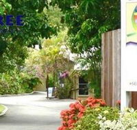At The Mango Tree - Coogee Beach Accommodation