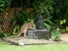 Bluewater Bed And Breakfast Cairns - Coogee Beach Accommodation 3