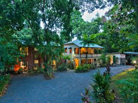 Red Mill House In Daintree - Coogee Beach Accommodation 0