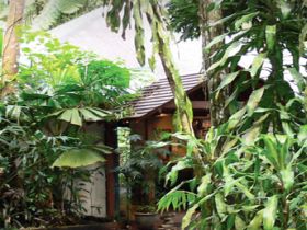 Heritage Lodge And Spa - In The Daintree - Coogee Beach Accommodation 0