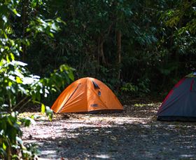 Jungle Lodge - Coogee Beach Accommodation 1