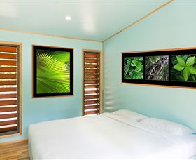 Jungle Lodge - Coogee Beach Accommodation 2