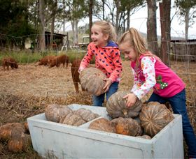 Tommerups Dairy Farmstay - Coogee Beach Accommodation 1