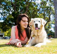 Jacobs Well Tourist Park - Coogee Beach Accommodation