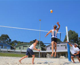 Sports Super Centre - Coogee Beach Accommodation 3