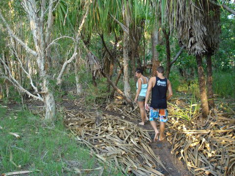 Berry Creek Bush Retreat - Coogee Beach Accommodation 7