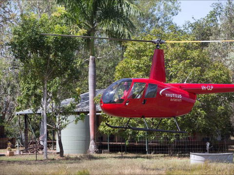 Berry Creek Bush Retreat - Coogee Beach Accommodation 8
