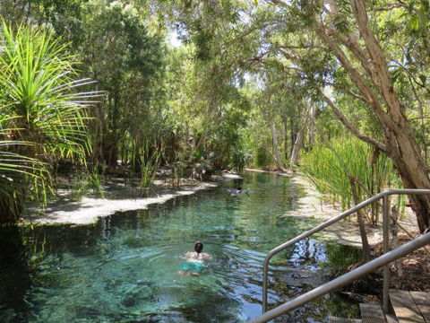Bitter Springs Cabins And Camping - Coogee Beach Accommodation 6