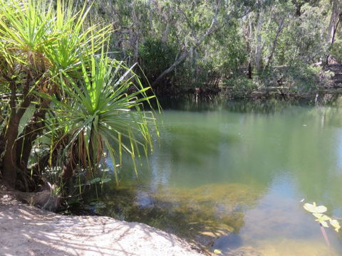 Bitter Springs Cabins And Camping - Coogee Beach Accommodation 7