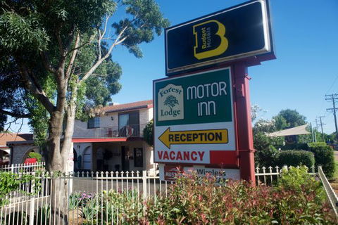 Forest Lodge Motor Inn And Restaurant - Coogee Beach Accommodation 1