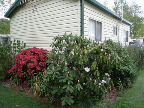 Jenolan Caravan Park - Coogee Beach Accommodation 2