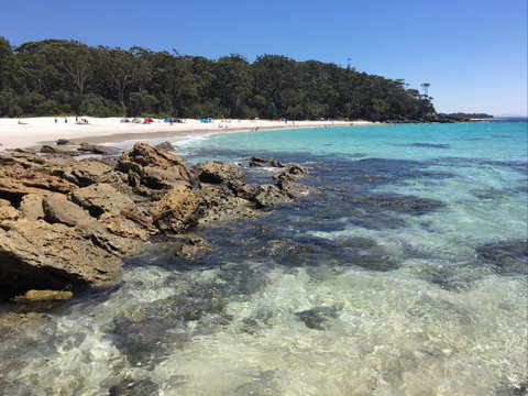 Laguna Lodge Holiday Units - Coogee Beach Accommodation 1