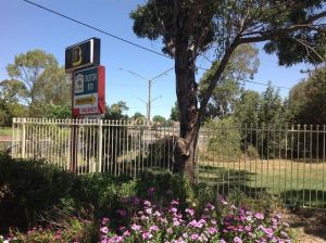 Forest Lodge Motor Inn And Restaurant - Coogee Beach Accommodation 0