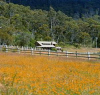 Pender Lea Alpine Guest Accommodation - Coogee Beach Accommodation