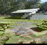 Creel Lodge - Coogee Beach Accommodation