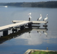 Basin Cabin - Coogee Beach Accommodation