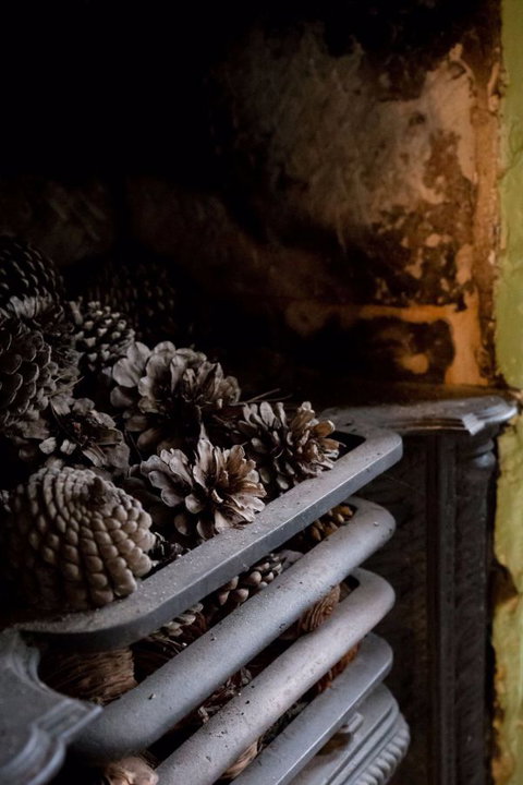 Mount Victoria Manor - Coogee Beach Accommodation 4