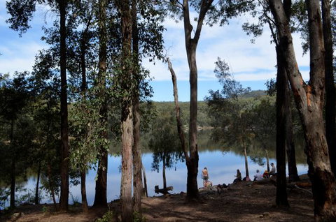 Moosewood - Coogee Beach Accommodation 2