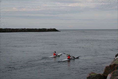 NRMA Port Macquarie Breakwall Holiday Park - Coogee Beach Accommodation 7
