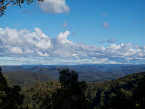 The Elk - Coogee Beach Accommodation 2