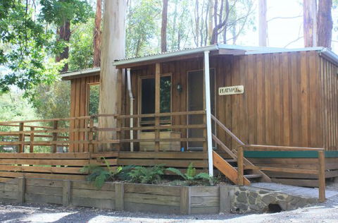 Tarra Valley Caravan Park - Coogee Beach Accommodation 1