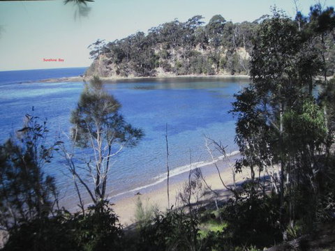 Grantham House  Pet Friendly Holiday Home - Coogee Beach Accommodation 8