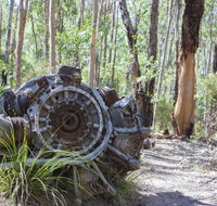 Kroombit Tops National Park Camping Ground - Coogee Beach Accommodation
