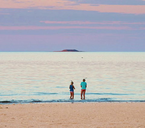 Mackerel Islands - Coogee Beach Accommodation 5