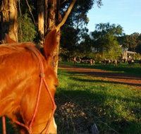 Billa Billa Farm Cottages - Coogee Beach Accommodation