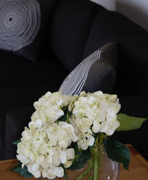Darlington Beach House @ Spring Beach - Coogee Beach Accommodation 8