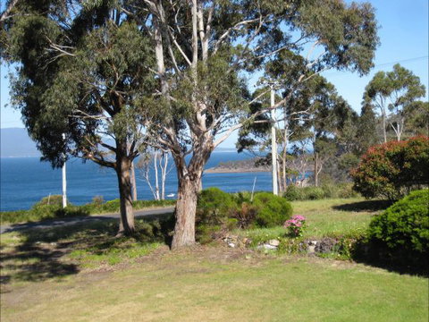 Darlington Beach House @ Spring Beach - Coogee Beach Accommodation 9