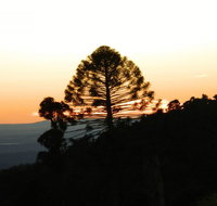 Bunya Mountains Accommodation Centre - Coogee Beach Accommodation