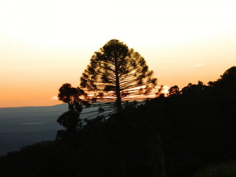 Bunya Mountains Accommodation Centre - Coogee Beach Accommodation 0