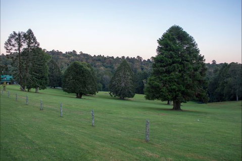 Bunya Mountains Accommodation Centre - Coogee Beach Accommodation 5