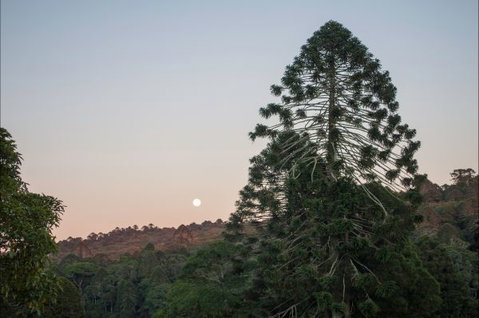 Bunya Mountains Accommodation Centre - Coogee Beach Accommodation 6