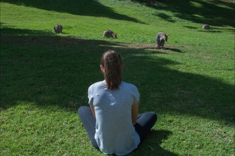 Bunya Mountains Accommodation Centre - Coogee Beach Accommodation 7