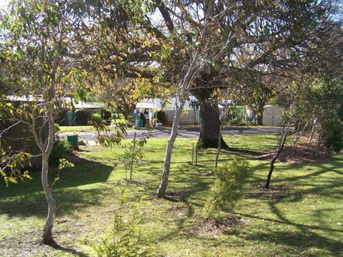 Dunkeld Caravan Park - Coogee Beach Accommodation 2