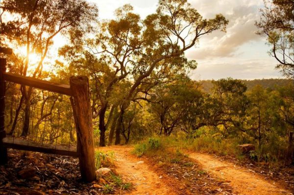 Blaxlands Ridge NSW Coogee Beach Accommodation