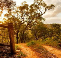 Kurrajong Trails and Cottages - Coogee Beach Accommodation