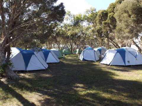 Discovery Lagoon Camping Grounds - Coogee Beach Accommodation 0